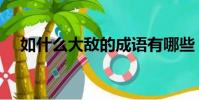 如什么大敵的成語有哪些(如什么大敵)