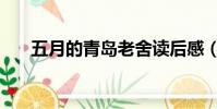 五月的青島老舍讀后感(五月的青島)