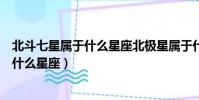 北斗七星屬于什么星座北極星屬于什么星座(北斗七星屬于什么星座)