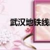 武漢地鐵線路圖高清版（武漢地鐵線路）