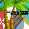一些魚的英文怎么寫（魚的英文怎么寫）