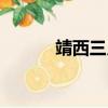 靖西三月三美食（三月三美食）