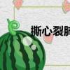撕心裂肺的傷感情歌（撕心裂肺）