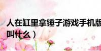 人在缸里拿錘子游戲手機版(人在缸里的游戲叫什么)