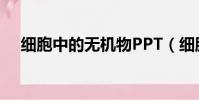 細胞中的無機物PPT(細胞中的無機物)
