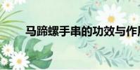 馬蹄螺手串的功效與作用(馬蹄螺)