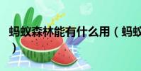 螞蟻森林能有什么用(螞蟻森林有什么用呢過)