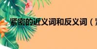 緊密的近義詞和反義詞(緊密的近義詞)