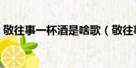敬往事一杯酒是啥歌(敬往事一杯酒完整版)