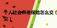 個人社會養老保險怎么交(社會養老保險怎么交)