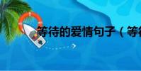 等待的愛情句子(等待的愛情)