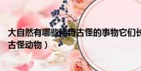 大自然有哪些稀奇古怪的事物它們長啥樣(大自然30種稀奇古怪動物)