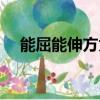 能屈能伸方為丈夫什么意思（能屈能伸）