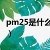 pm25是什么意思啊視頻解釋（pm2 5是什么）