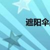 遮陽傘品牌推薦（遮陽傘品牌）