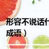 形容不說話什么言什么語成語（什么言什么語成語）