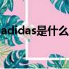 adidas是什么牌子（nike是哪個國家的品牌）
