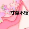 寸草不留的意思（寸草不生的意思）