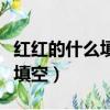 紅紅的什么填空詞語一年級下冊（紅紅的什么填空）
