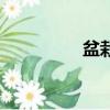 盆栽水果樹（盆栽水果）