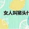 女人叫豬頭什么意思（女人都是豬頭燜子）