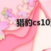 獵豹cs10油耗顯示（獵豹cs10油耗）