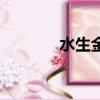 水生金還是金生水（水生金）