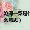 滄海一粟是什么意思解釋詞語（滄海一粟是什么意思）