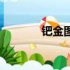 鈀金圖片真實圖片大全（鈀）