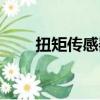 扭矩傳感器安裝方法（扭矩傳感器）
