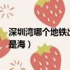 深圳灣哪個地鐵出口出來直接是海景的（深圳灣地鐵站出口是海）
