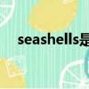 seashells是什么意思（sell是什么意思）