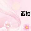 西柚的英文（柚子的英文）