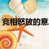 競相怒放的意思競的意思（競相怒放的意思）