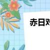 赤日對什么字（赤日對什么）