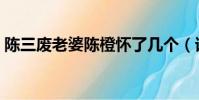 陳三廢老婆陳橙懷了幾個(誰是誰的妻陳三)