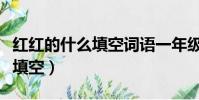 紅紅的什么填空詞語一年級下冊(紅紅的什么填空)