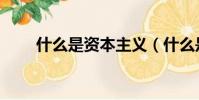 什么是資本主義(什么是帝國主義)