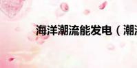 海洋潮流能發電(潮流能發電)