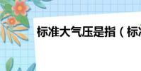 標準大氣壓是指(標準大氣壓)