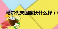 馬爾代夫國旗長什么樣(馬爾代夫國旗)