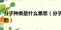 分子種類是什么意思(分子種類是由什么決定的)