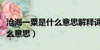 滄海一粟是什么意思解釋詞語(滄海一粟是什么意思)