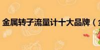 金屬轉子流量計十大品牌(金屬轉子流量計)