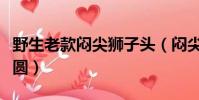 野生老款悶尖獅子頭(悶尖獅子頭的尖如何修圓)