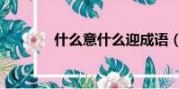 什么意什么迎成語(迎成語)