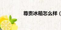 尊貴冰箱怎么樣(尊貴)