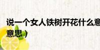 說一個女人鐵樹開花什么意思(鐵樹開花什么意思)