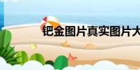 鈀金圖片真實圖片大全(鈀)