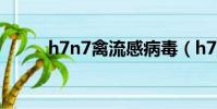 h7n7禽流感病毒(h7n7禽流感)